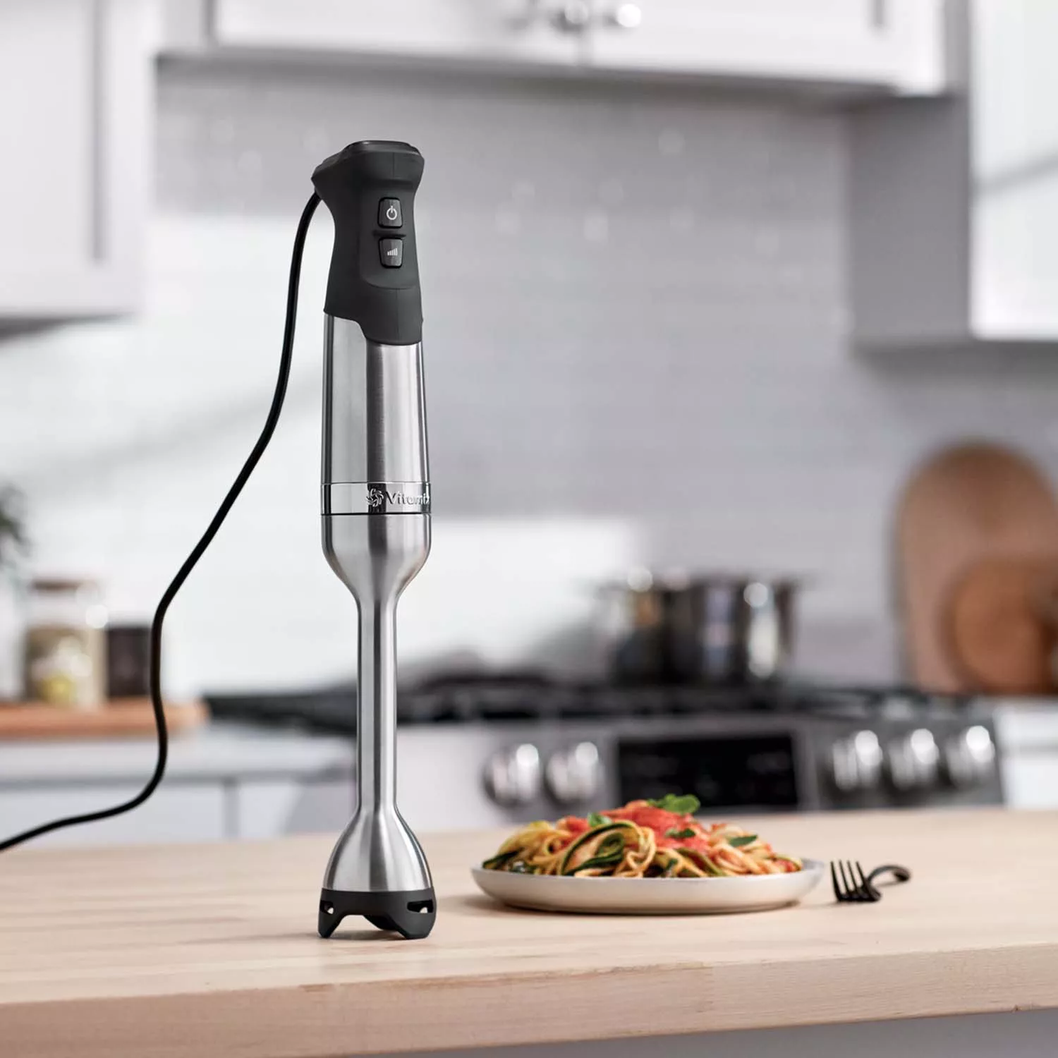 Vitamix Immersion Blender Stainless Steel