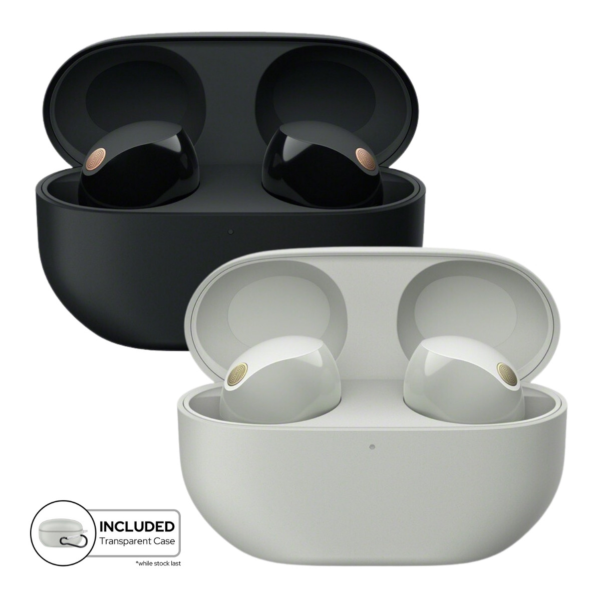 Sony WF-1000XM5 True Wireless Earbuds